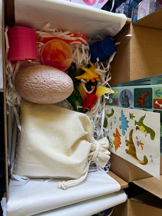 Boys mystery dinosaur box
