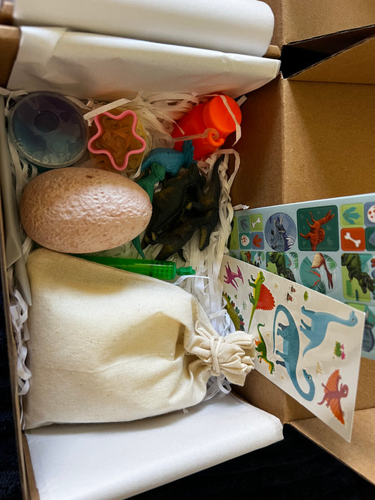 Boys mystery dinosaur box